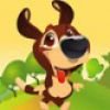 Adventure Of Boodoo Image