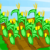 Farm Fun