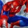Spiderman City Raid