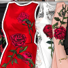 The Fragrance Of Rose Image
