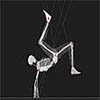 Wire Skeleton Image