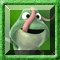 BB Jigsaw - Happy Frog Image
