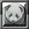 China Panda Zuma Image