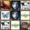 Member Avatar Tiles Image