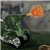 Micro Tanks Image