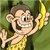 Monkey Boy Image