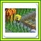 SpongeBob - Planktons Fun House Image