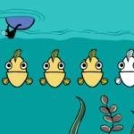 Which Fish? Image