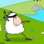 Ovcata Ninja Reincarnation Hacked
