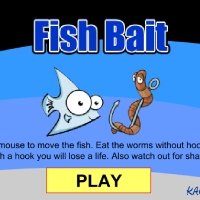 Fish Bait