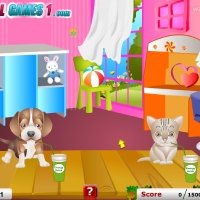 Pet Care Image