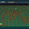 A Maze Race II Image