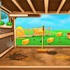 Animals Farm Cleaning