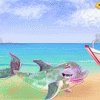 Baby Dolphin Care Image