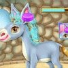 Donkey Horse Caring