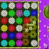 Flower Action Puzzle