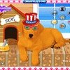 Labrador Puppy Dressup Image