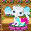Pet Wedding Party beauty Saloon Image