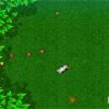 The Dog and the Mushrooms Image